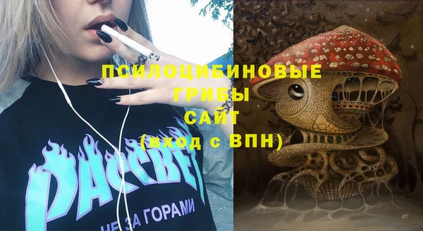 jwh Гусев
