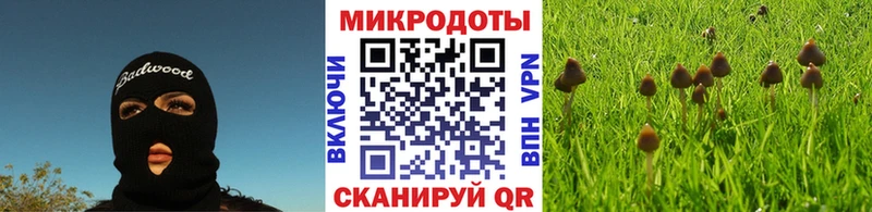 Купить где Полевской Псилоцибиновые грибы GOLDEN TEACHER